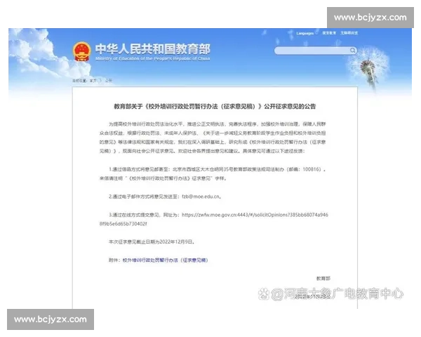 关于加强罚款措施实施和管理的若干意见